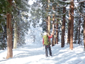 森の中をスノーシューで歩く写真