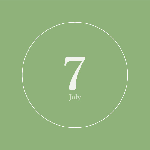 7月の自然体験のお知らせ