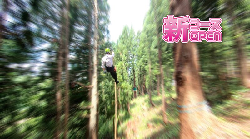 森林空中アスレチック】アルプスアドベンチャー 新コース大好評